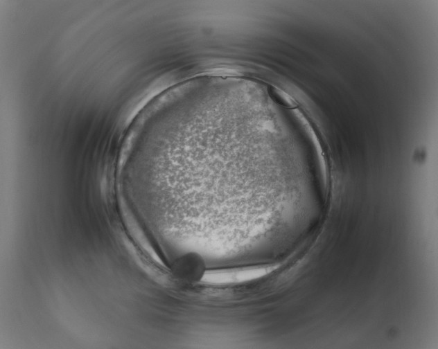 X0000112751194200909171218