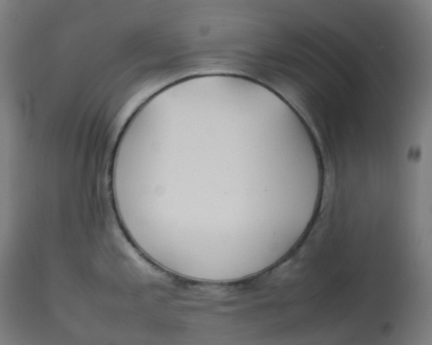 X0000112751197200909171218