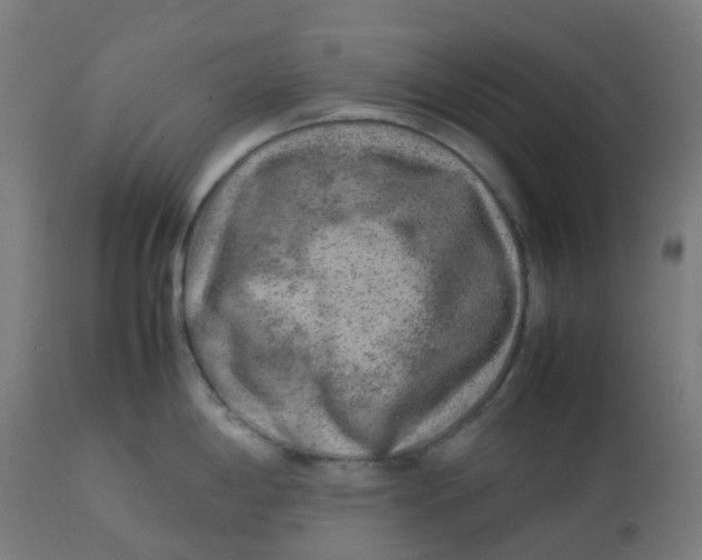 X0000112751198200909171218