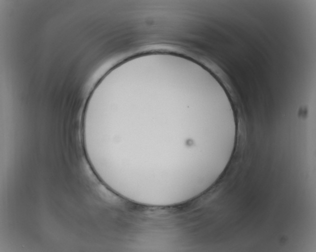 X0000112751199200909171218