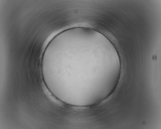 X0000112751200200909171218