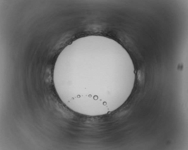 X0000112751203200909171218