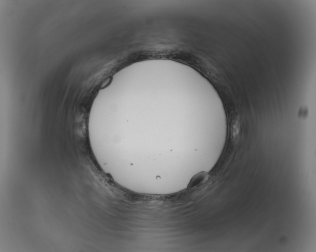 X0000112751204200909171218