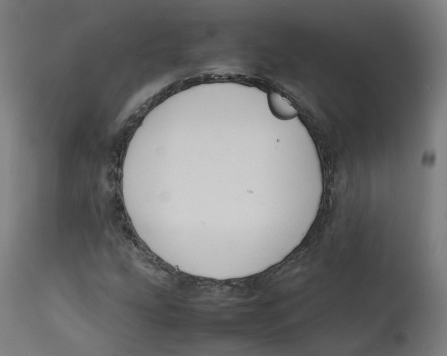 X0000112751207200909171218