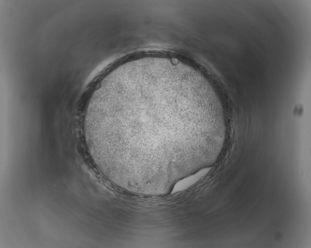 X0000112751208200909171218