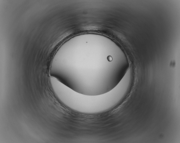 X0000112751209200909171218