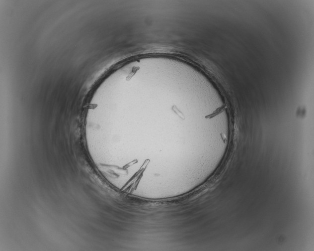 X0000112751212200909171218
