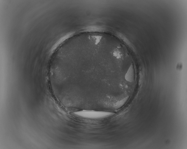 X0000112751213200909171218