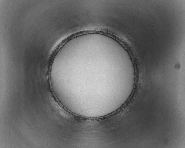 X0000112751216200909171218