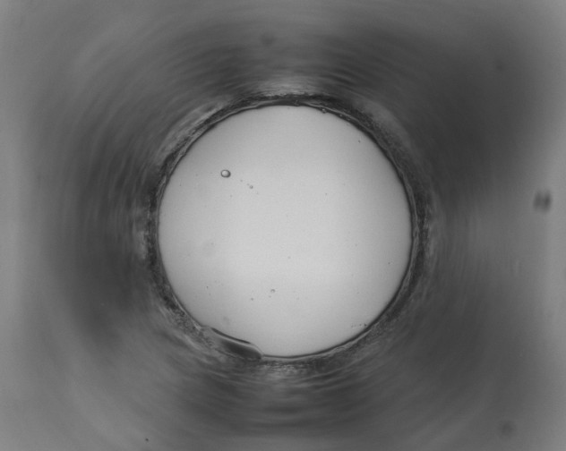 X0000112751217200909171218