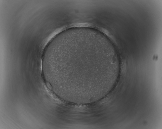 X0000112751221200909171218