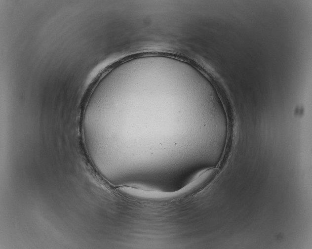 X0000112751222200909171218