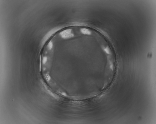 X0000112751223200909171218