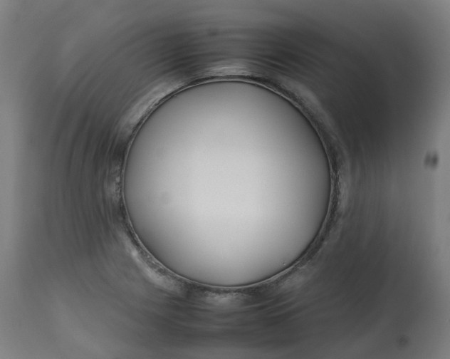 X0000112751225200909171218