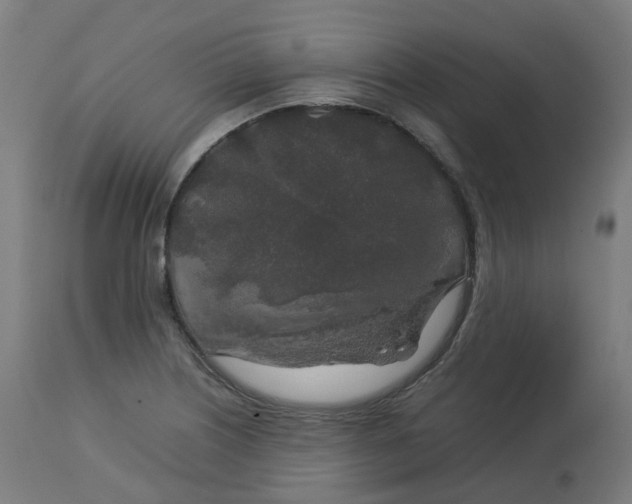 X0000112751226200909171218