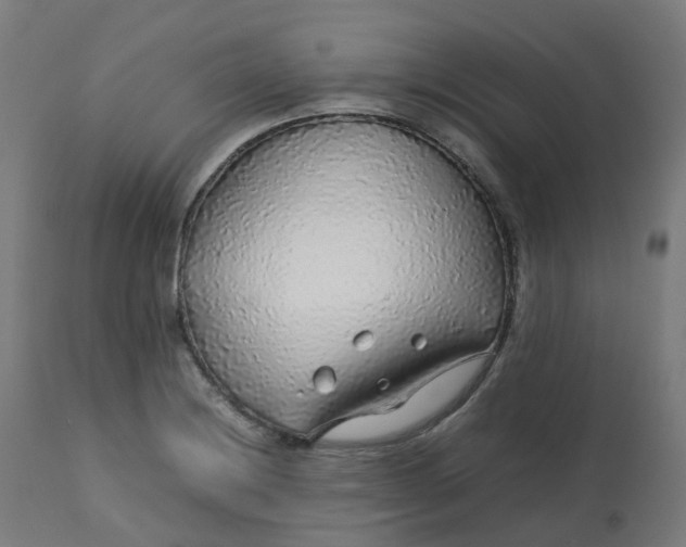 X0000112751228200909171218