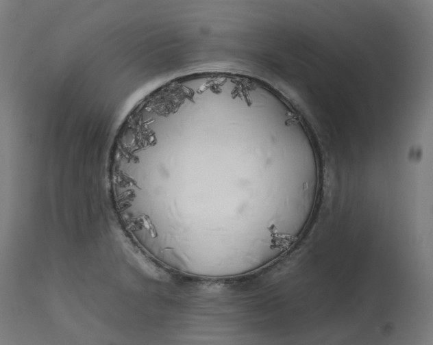 X0000112751230200909171218