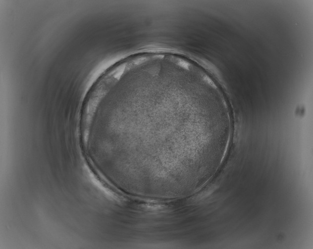 X0000112751231200909171218