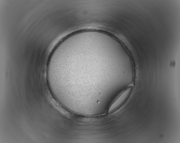 X0000112751232200909171218