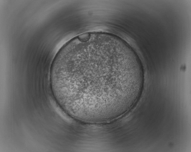 X0000112751234200909171218