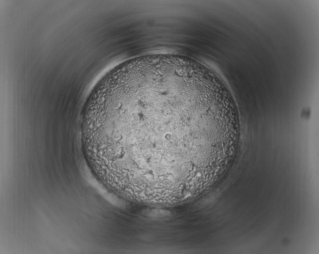 X0000112751235200909171218