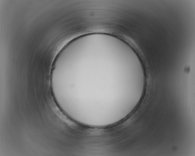 X0000112751236200909171218