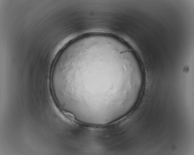 X0000112751237200909171218