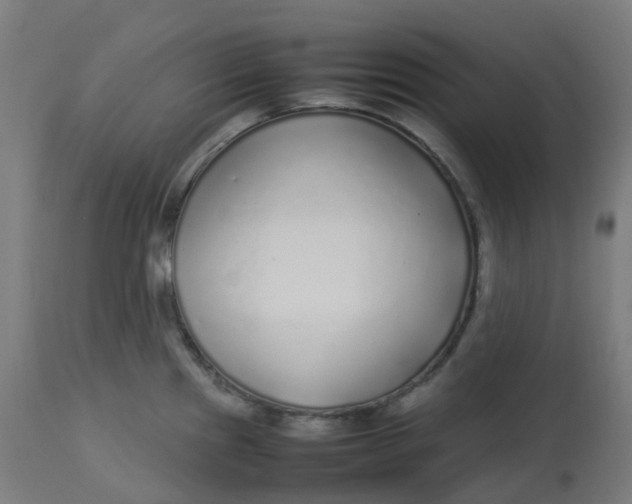 X0000112751241200909171218