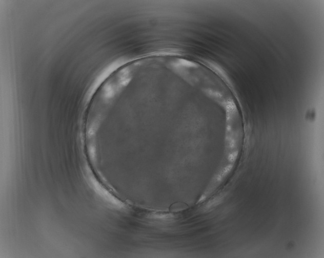 X0000112751243200909171218