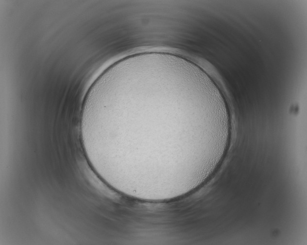 X0000112751244200909171218