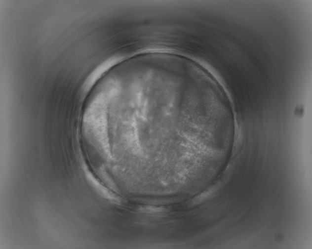 X0000112751245200909171218