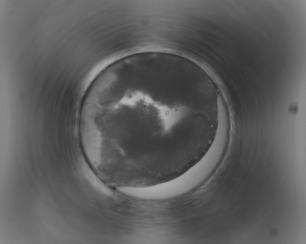 X0000112751246200909171218