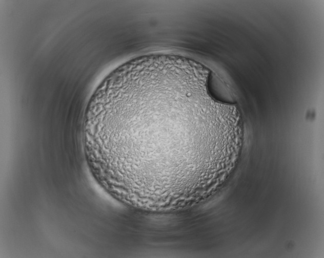 X0000112751247200909171218