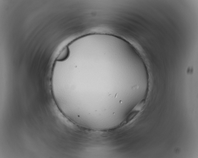 X0000112751248200909171218