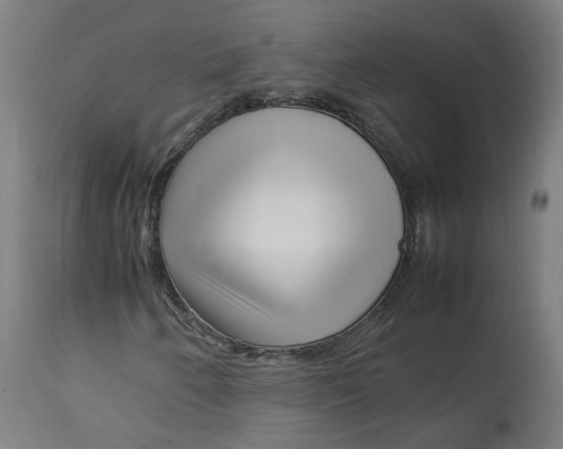 X0000112751250200909171218