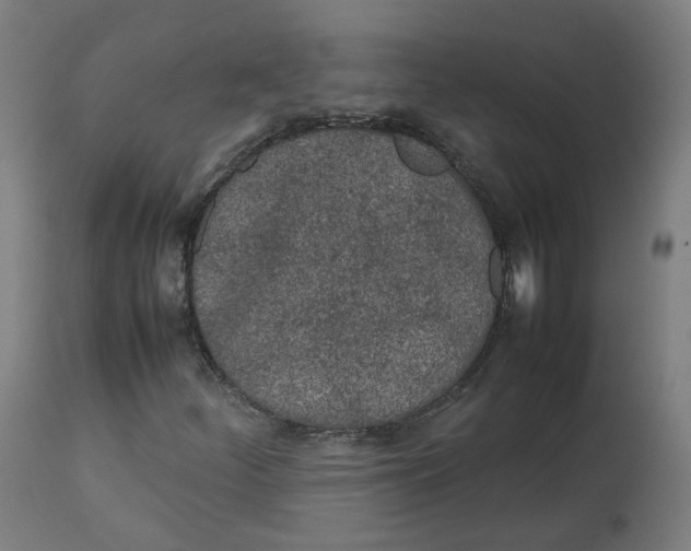 X0000112751252200909171218