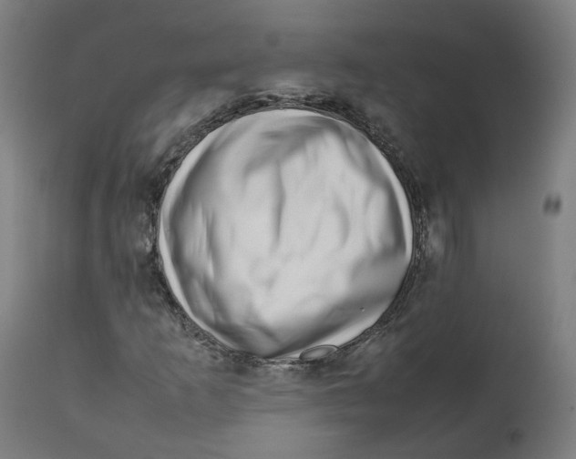 X0000112751253200909171218