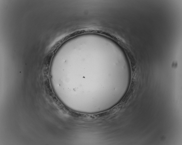 X0000112751255200909171218