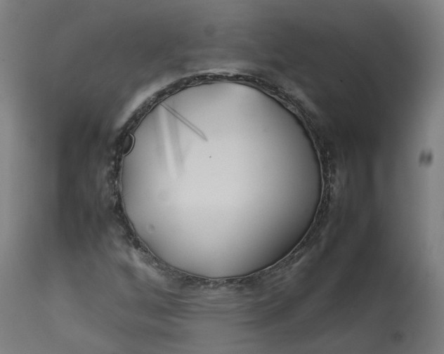 X0000112751256200909171218