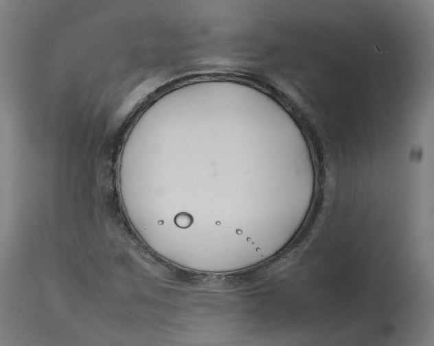 X0000112751259200909171217