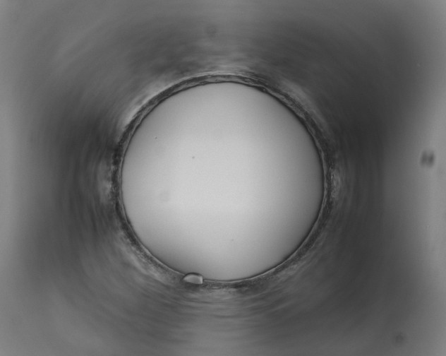 X0000112751260200909171217