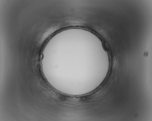 X0000112751261200909171217