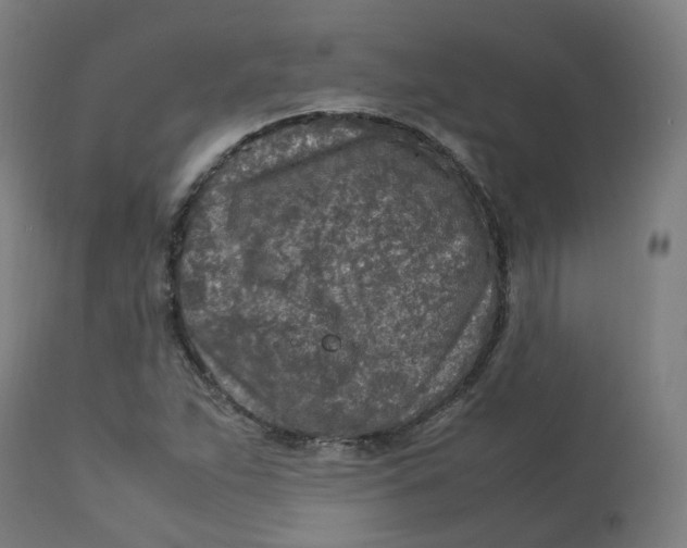 X0000112751263200909171217