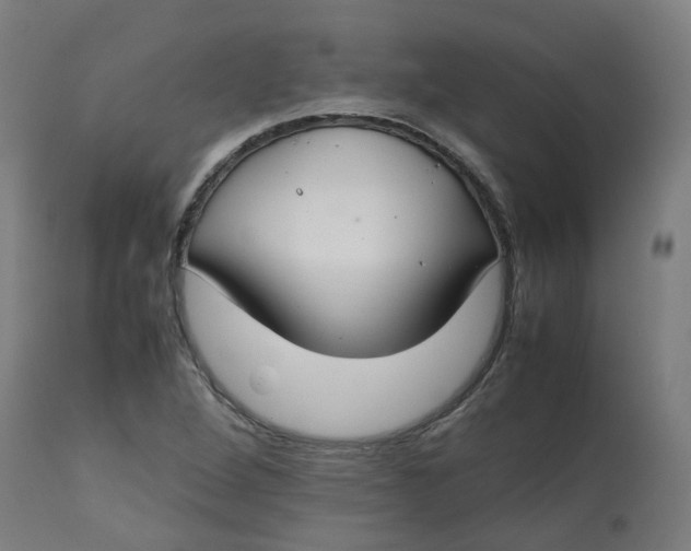 X0000112751264200909171217