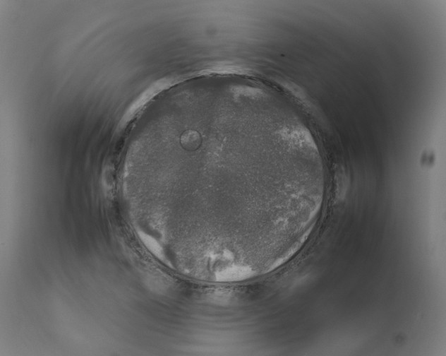 X0000112751266200909171217