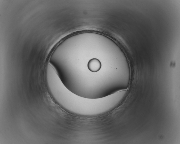 X0000112751268200909171217