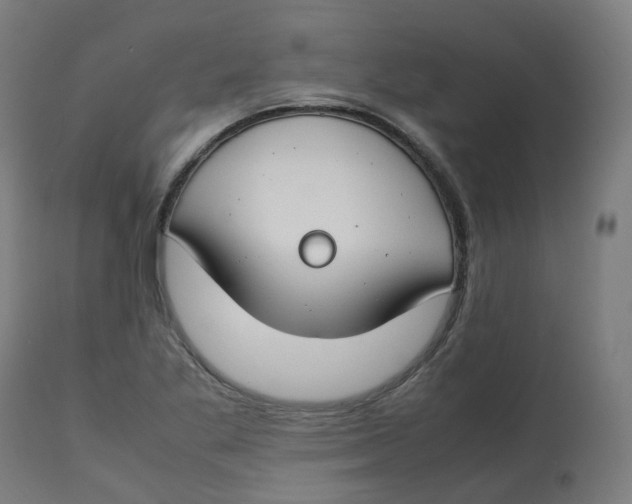 X0000112751269200909171217