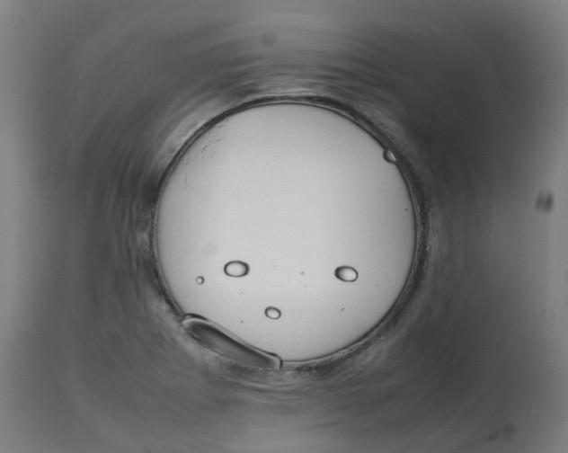 X0000112751273200909171217