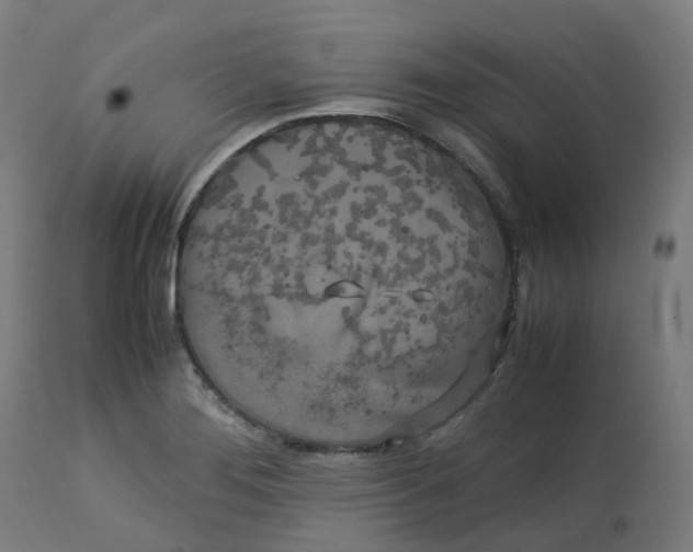 X0000112751276200909171217