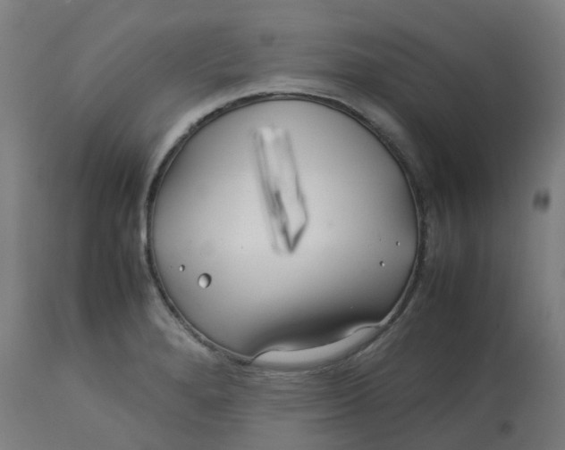X0000112751280200909171217